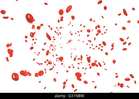 Red blood cells erythrocytes in interior of arterial or capillary blood vessel. Showing endothelial cells and blood flow or stre
