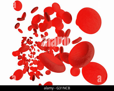 Red blood cells erythrocytes in interior of arterial or capillary blood vessel. Showing endothelial cells and blood flow or stre Stock Photo