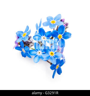 forget me not flowers heart