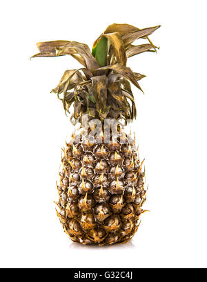 Rotten Pineapple on a white background Stock Photo