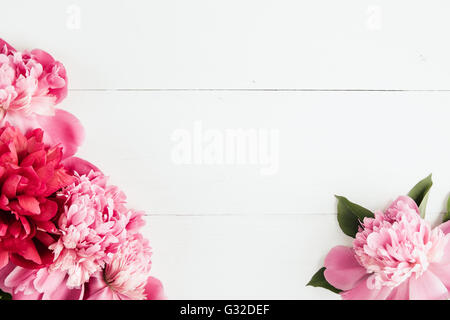 Summer floral frame with pink peonies Stock Photo