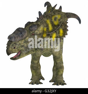 Pachyrhinosaurus was a ceratopsid herbivorous dinosaur that lived in the Cretaceous Period of Alberta, Canada.