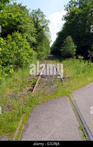 Abandoned railroad track taking off through the forest. Stock Photo