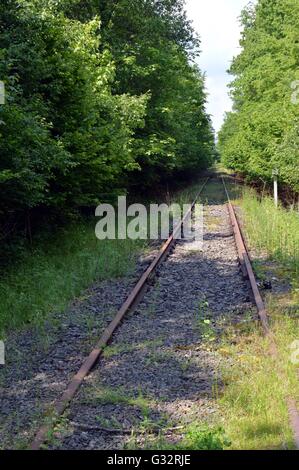 Abandoned railroad track taking off through the forest. Stock Photo