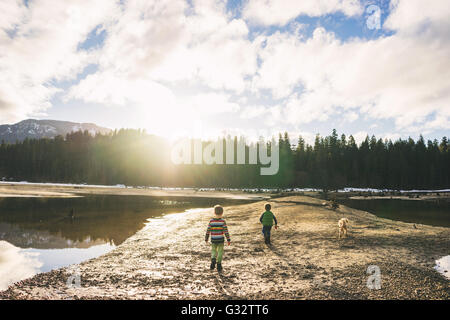 Two boys and golden retriever puppy dog running by mountain lake Stock Photo