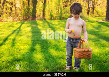 Boy holding basket collecting flowers Stock Photo: 105169751 - Alamy