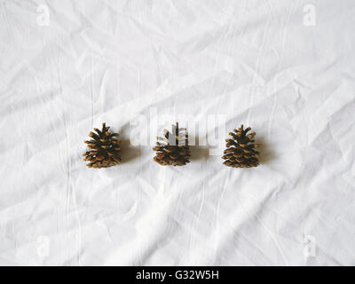 Three pine cones on white background Stock Photo