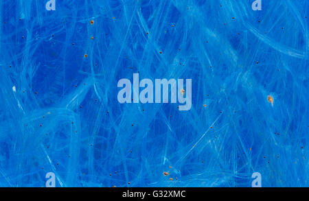 a detail image of random scratches on a blue metal panel Stock Photo