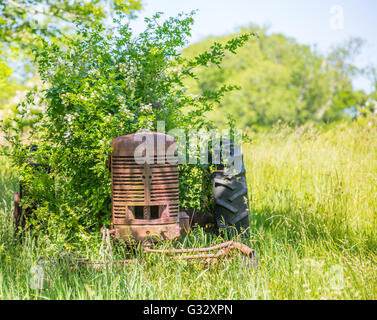 old rusted farm tractor sitting in an overgrown field in the summer Stock Photo