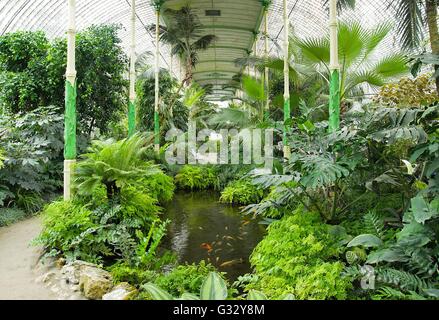 Big palm greenhouse in Lednice castle, Czech Republic with exotic trees, palms and flowers. The interior contains tourist paths Stock Photo
