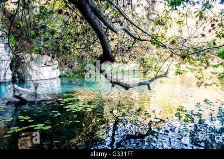Nature, Chapada da Diamantina, Brazil Stock Photo