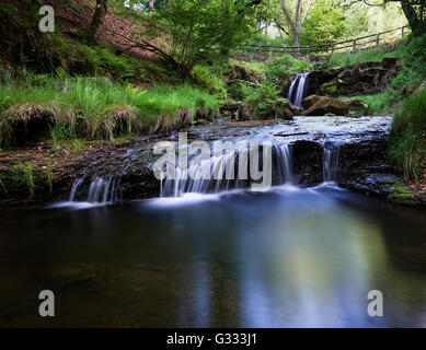 Blow Gill lies at the roadside on the Osmotherley to Hawnby road, approx 2 miles from Hawnby Stock Photo