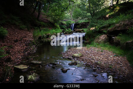 Blow Gill lies at the roadside on the Osmotherley to Hawnby road, approx 2 miles from Hawnby Stock Photo