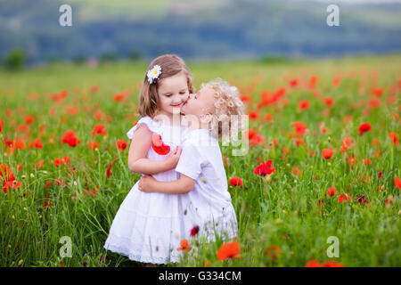 Little curly blond boy and girl play in poppy flower field. Child picking red poppies. Toddler kid in summer meadow. Stock Photo