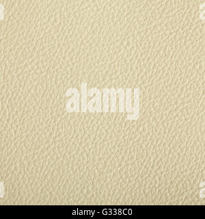 Antique white leacher texture. Close up, top view. Stock Photo