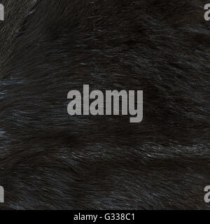 Black fur goat texture. Close up fragment  top view. Stock Photo