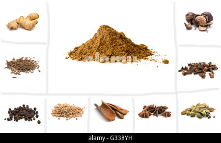 Pile of Garam Masala and Ingredients: dry ginger, cumin seeds, black pepper, coriander, cinnamom, anise, cardamon, cloves, nutme Stock Photo