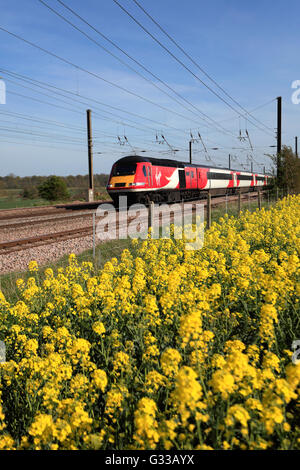 43308 Virgin Trains operating company, High Speed Diesel Train, East Coast Main Line Railway, near the village of Creeton Stock Photo