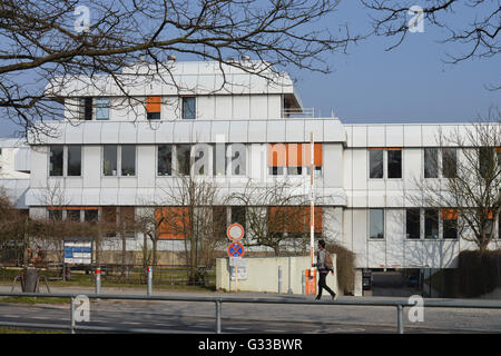 Silberlaube, Philologie, Freie Universitaet, Habelschwerdter Allee, Dahlem, Berlin, Deutschland Stock Photo