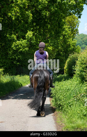 Horse rider on a country lane in the English countryside. A sunny summer day. Stock Photo