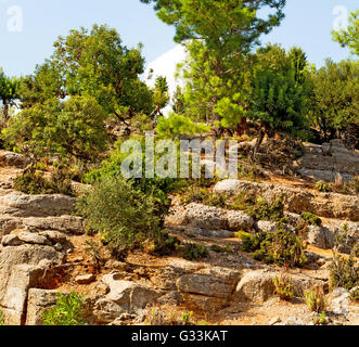 The Hill In Asia Turkey Selge Old Architecture Ruins And Nature Stock
