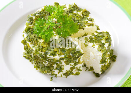 close up of fresh cheese with chives on white plate Stock Photo
