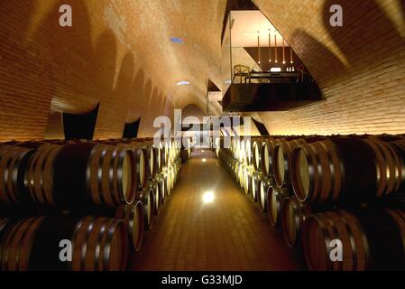Marchesi Antinori winery in Tenuta Bargino, created by Studio Archea Associati , San Casciano Val di Pesa, Florence, Italy, Stock Photo