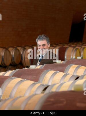 The enologist Renzo Cotarella  photographed in the Marchesi Antinori winery in Tenuta Bargino, Stock Photo