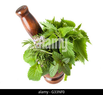 Rosemary, sage,peppermint,lemon balm and nettles in a mortar Stock Photo