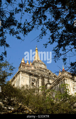 View of the Thatbyinnyu Temple in Bagan, Myanmar (Burma) Stock Photo