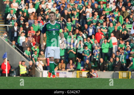 27th May 2016 - Vauxhall International Challenge (Friendly). Northern Ireland 3 Belarus 0. Northern Ireland's captain Steven Davis (8) in action. Stock Photo