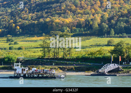 Roll ferry across the Danube, Austria, Niederösterreich, Lower Austria, Wachau, Spitz an der Donau Stock Photo