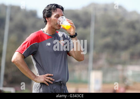 Unai Emery during the preparation of Sevilla FC before starting La Liga Stock Photo