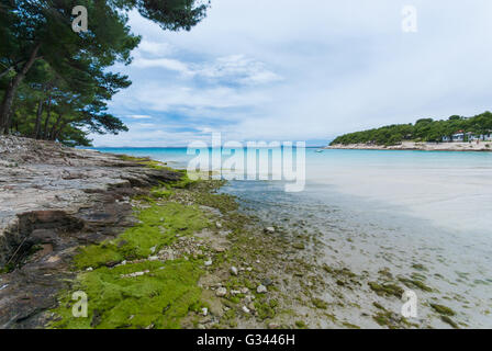 Bay Slanica on Murter Island, Dalmatia, Croatia Stock Photo