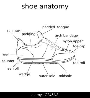 Fashion Illustration - Raster Illustration of the anatomy of a shoe ...