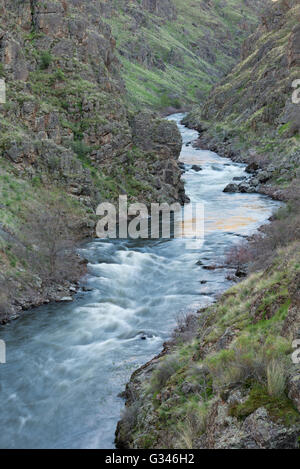 Imnaha River in Hells Canyon, Oregon. Stock Photo