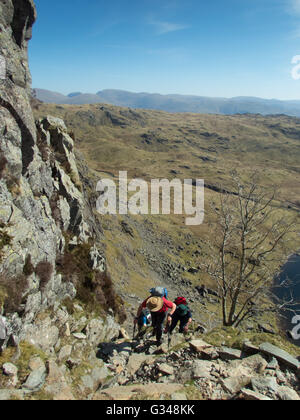 Scrambling up the classic route Jack's Rake on Pavey Ark, Langdale ...