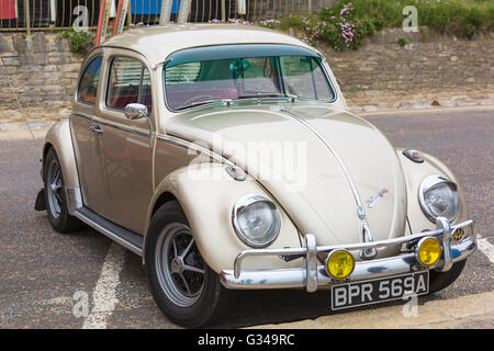 Silver gold coloured 1963 Volkswagen beetle 1960s at Bournemouth Wheels Festival at Bournemouth, Dorset UK in June Stock Photo