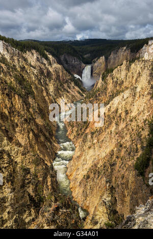 USA, Rockie Mountains, Wyoming, Yellowstone, National Park, UNESCO, World Heritage, Lower Falls Stock Photo