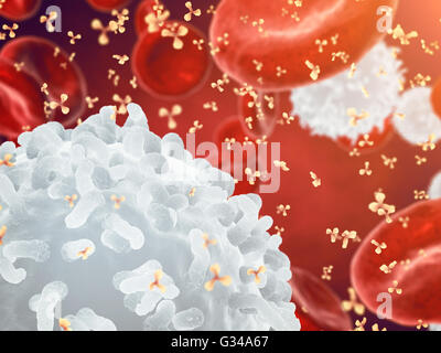 White , red blood cells and antibodies , Leukocytes , Infectious disease , Immune system