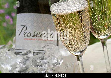 PROSECCO ALFRESCO GARDEN Close-up on freshly poured glasses of  sparkling Prosecco with bottle in iced wine cooler behind on alfresco terrace table Stock Photo