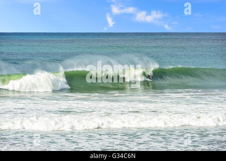 Surfer on Bombo Beach, Kiama, Illawarra Coast, New South Wales, Australia Stock Photo