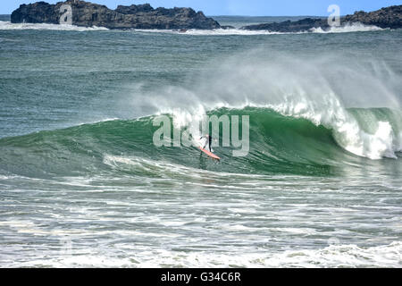 Surfer on Bombo Beach, Kiama, Illawarra Coast, New South Wales, Australia Stock Photo