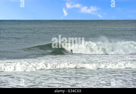 Surfer on Bombo Beach, Kiama, Illawarra Coast, New South Wales, Australia Stock Photo