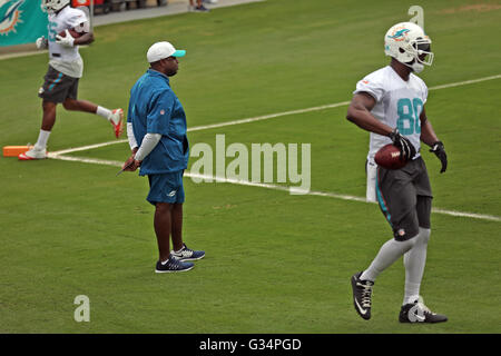 Jimmy buffett miami dolphins football hi-res stock photography and images -  Alamy