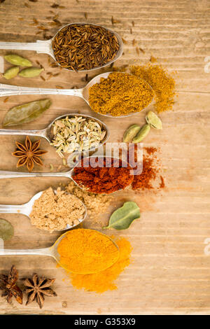 Spices including turmeric, chili powder, ginger, and fennel seeds on silver spoons Stock Photo