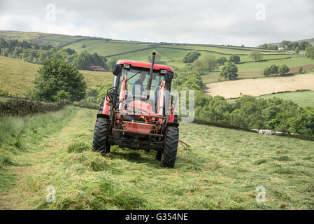 A red tractor turning grass to dry in a summer hay meadow in the English countryside.  Father and son inside the tractor. Stock Photo