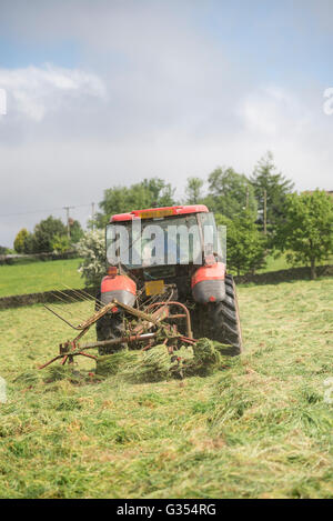 A red tractor turning grass to dry in a summer hay meadow in the English countryside.  Father and son inside the tractor. Stock Photo