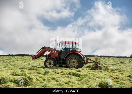 A red tractor turning grass to dry in a summer hay meadow in the English countryside.  Father and son inside the tractor. Stock Photo