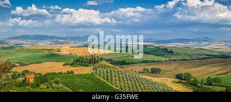 Scenic Tuscany landscape with rolling hills and valleys in golden evening light, Val d'Orcia, Italy Stock Photo